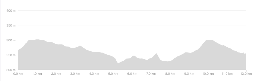 perfil da ruta